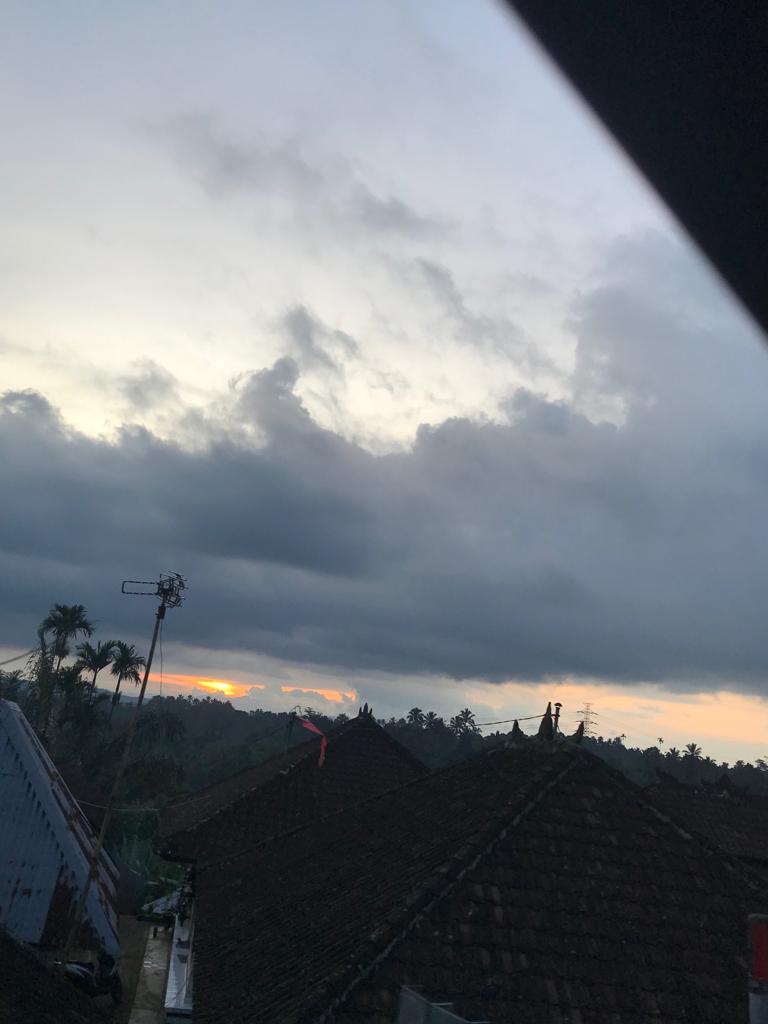 img.jpg
